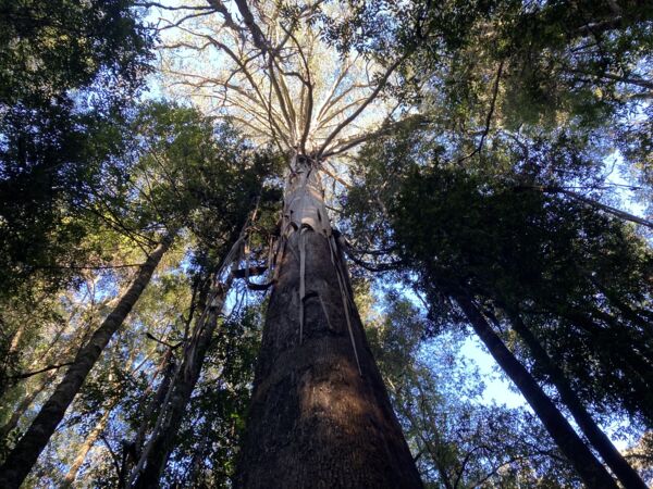 IMG_3010.jpeg Thumbnail