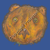 Wombat T-shirt - Adult Design