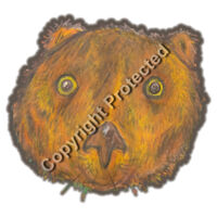 Wombat Tea Towel Design