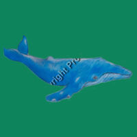 Whale T-shirt - Kids Design