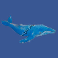 Whale T-shirt - Adult Design