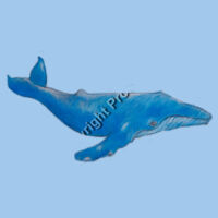 Whale T-shirt - Adult Design