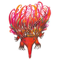 Echidna Tea Towel Design