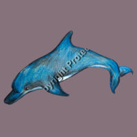 Dolphin T-shirt - Adult Design