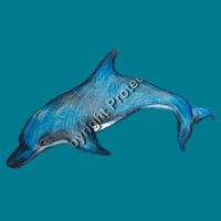 Dolphin T-shirt - Adult Design