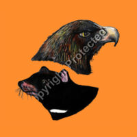 Eagle/Devil T-shirt - Kids Design