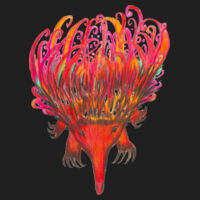 Echidna T Shirt - Kids Design
