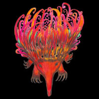 Adult Hoodie Female - Echidna Design