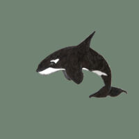 Orca T- shirt Female Adult Design