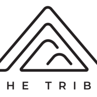 The Tribe Thumbnail